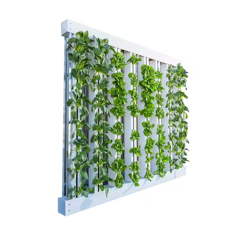 Hydroponic Nft Channel - PVC-buis landbouwkas groenteteelt NFT-kanaal ritssluiting verticaal
