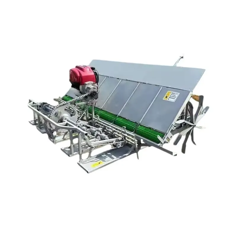 Agriculture Farming Rice - 4-rijige handmatige landbouwmachine voor het planten