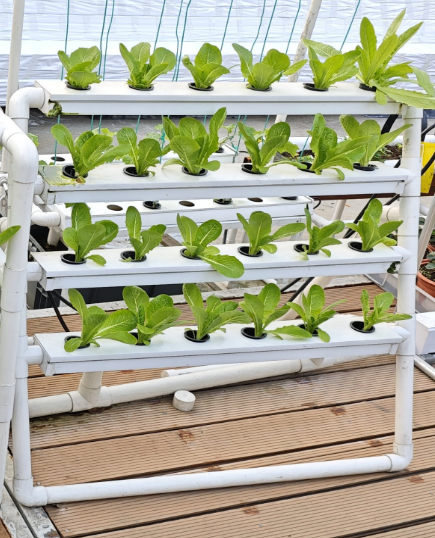 MINI 24-gaats verticaal hydroc - Hydroponic Nft Channel recensie en prijs