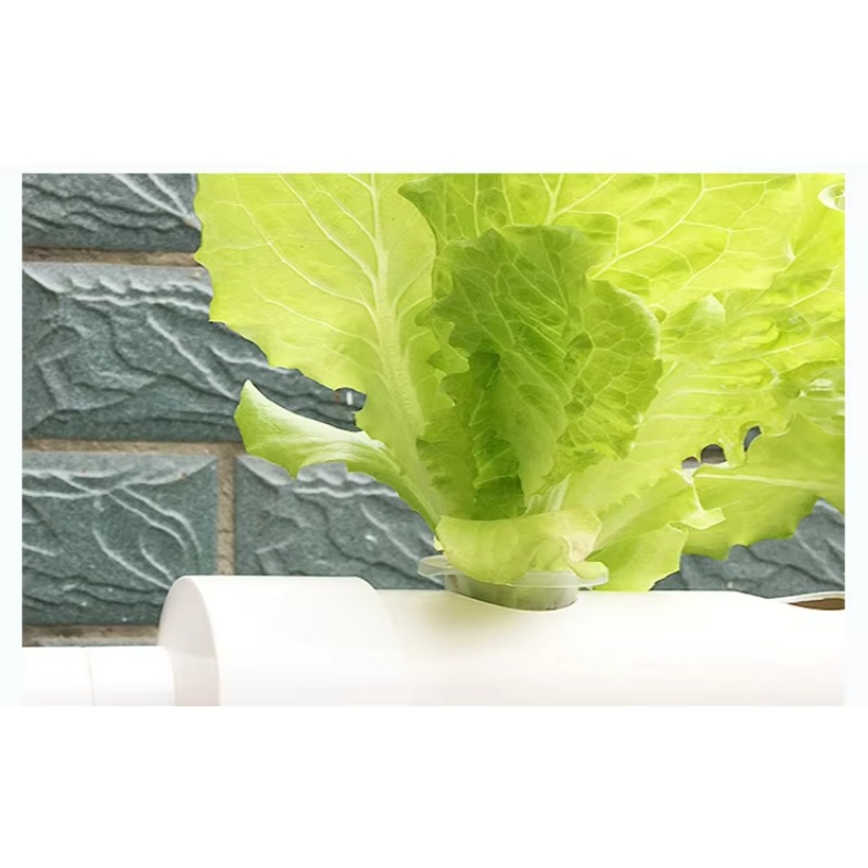 Eenvoudige installatie 36-gats - Hydroponic Nft Channel recensie en prijs