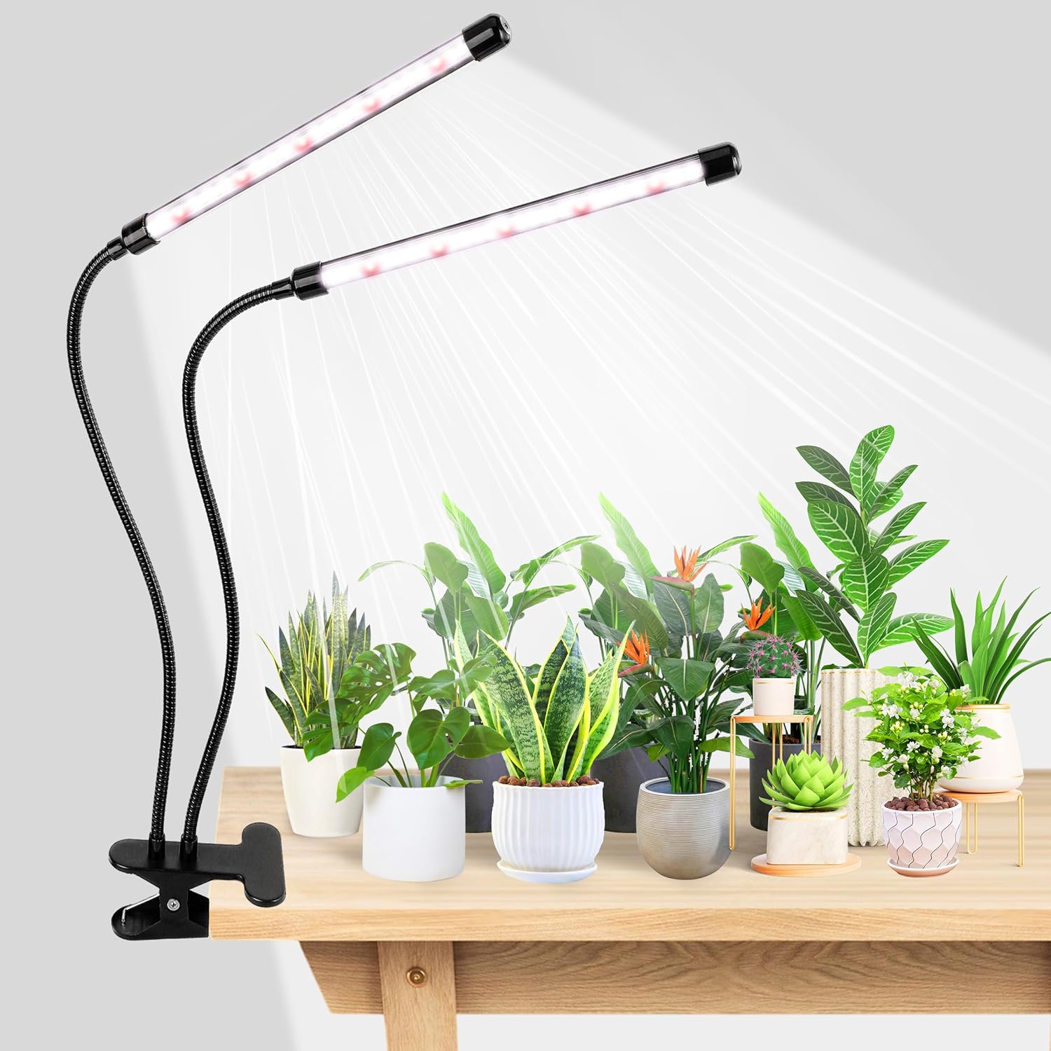 KEBINCPLED USB 5V Clip Planten - Hydroponic Nft Channel recensie en prijs