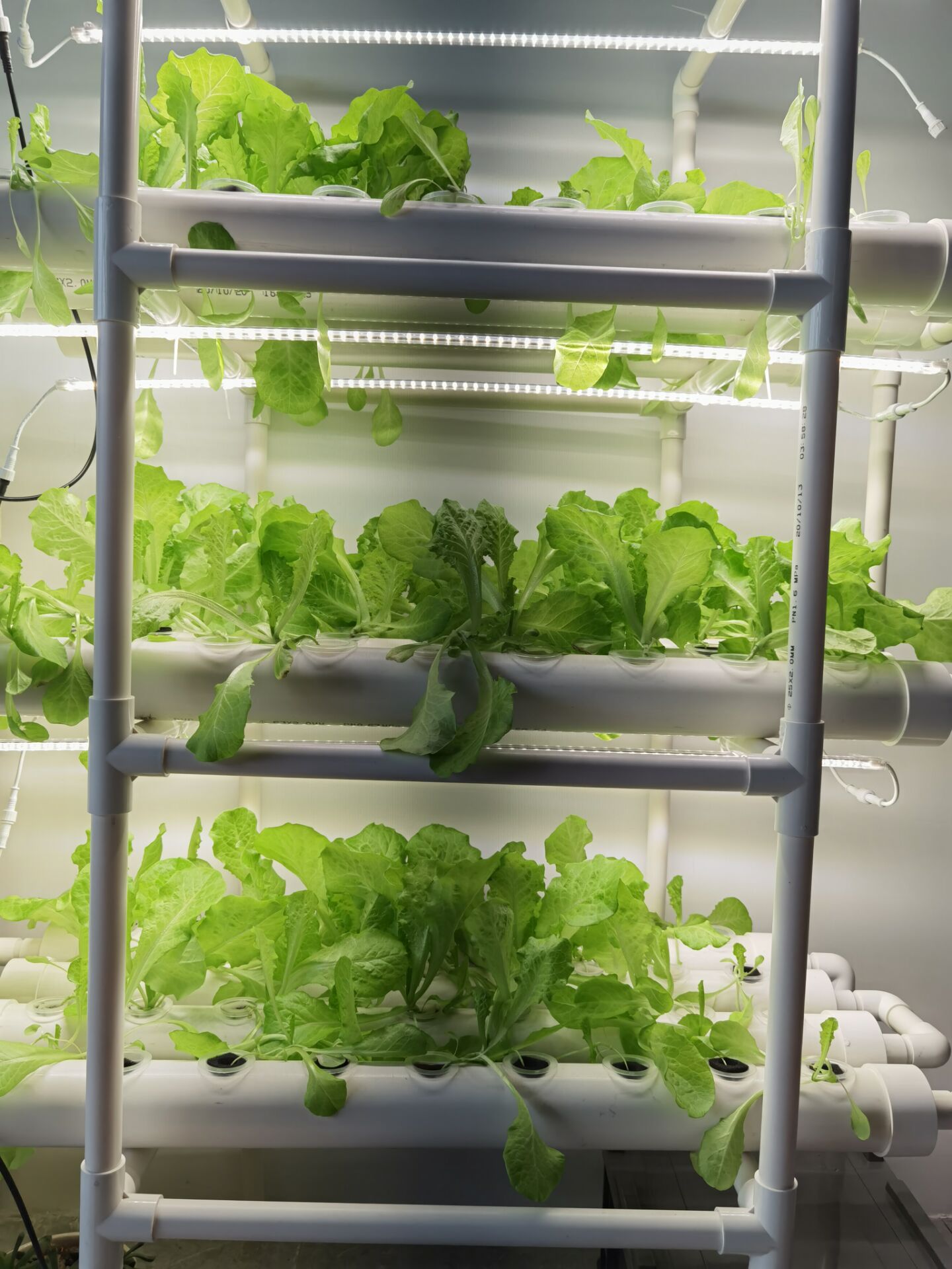 Fabrieksdirect 3-laags vertica - Hydroponic Nft Channel recensie en prijs