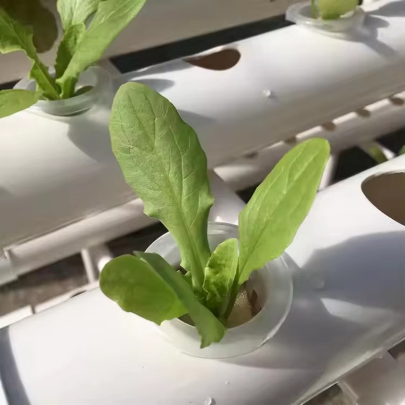 108 gaten, 3 lagen, 12 buizen, - Hydroponic Nft Channel recensie en prijs