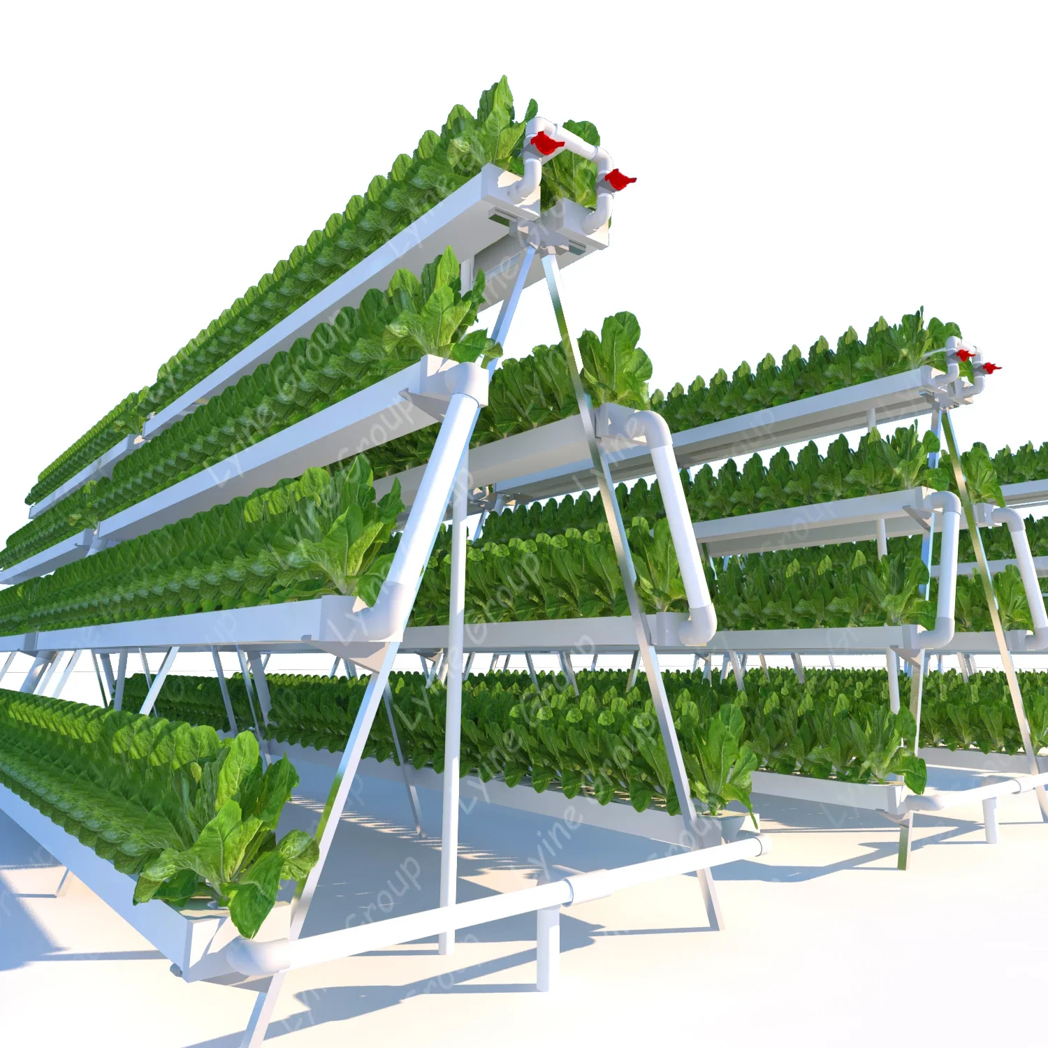 Fabricage Produceren Verticaal - Hydroponic Nft Channel recensie en prijs