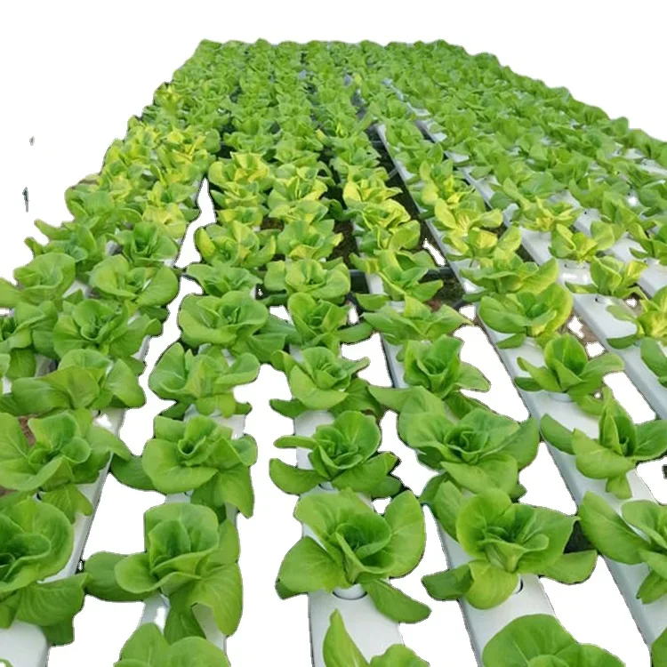 Fabricage Produceren Verticaal - Hydroponic Nft Channel recensie en prijs