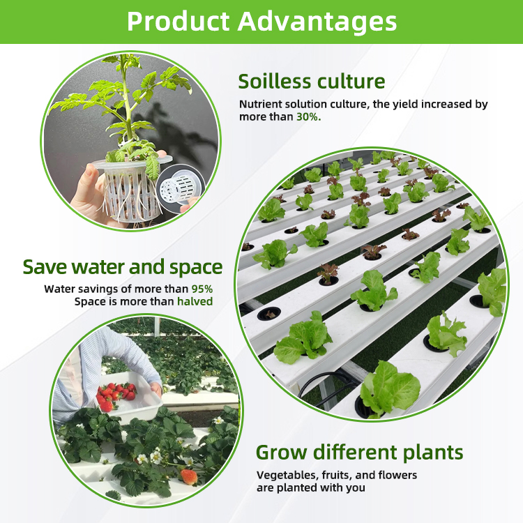Nft Hydrocultuur PVC Kanaalirr - Hydroponic Nft Channel recensie en prijs