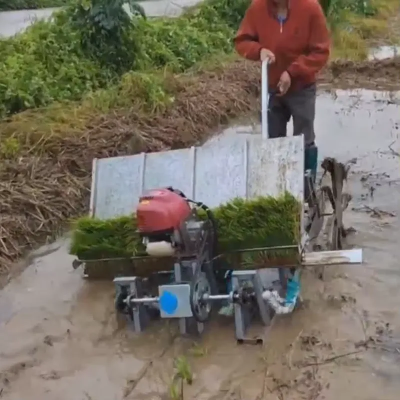 4-rijige handmatige landbouwma - Agriculture Farming Rice recensie en prijs